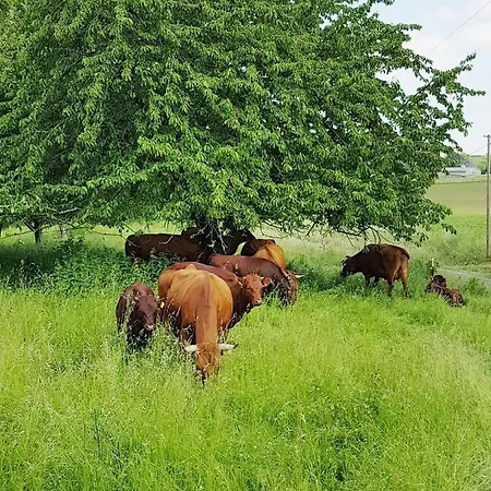 Am Viaduktweg Familie *