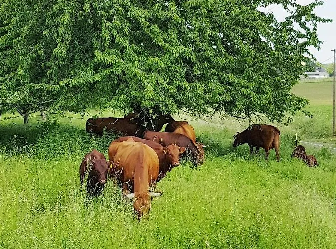 Am Viaduktweg Familie *